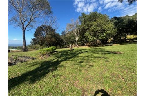 Comercial - Terreno - Atenas, Alajuela- Atenas, Costa Rica - Caribbean & Central Ameri - 3 - 90128002-994