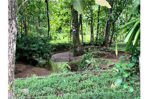 Te Koop-Grondstuk-Parrita, Puntarenas - Parrita, Costa Rica-90168016-103