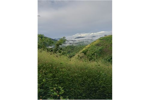 Te Koop-Grondstuk-Lepanto, Puntarenas - Puntarenas, Costa Rica-902621004-35