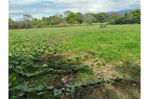 Te Koop-Grondstuk-Orotina, Alajuela- Orotina, Costa Rica-902701009-48