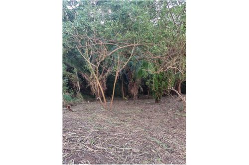 Te Koop-Grondstuk-Roatan, Bay Islands, Honduras-90143009-198