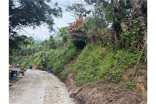 For Sale-Land-Villa Canales, Guatemala, Guatemala-902691023-7