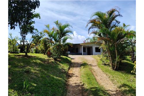 For Sale-Villa-Pérez Zeledón, San Jose, Costa Rica-901601008-16