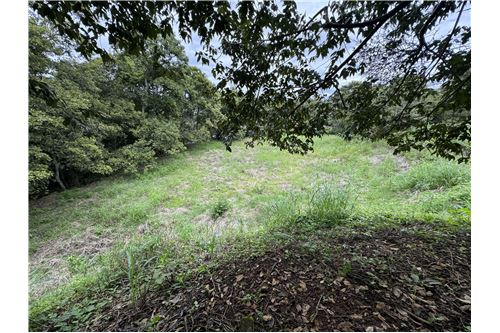 Venta-Lote-La Garita, Alajuela, Costa Rica-902021012-98
