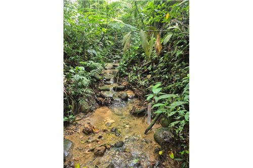 Venta-Lote-Pérez Zeledón, San José, Costa Rica-90176018-13