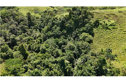 For Sale-Land-Pérez Zeledón, San Jose, Costa Rica-901601008-29