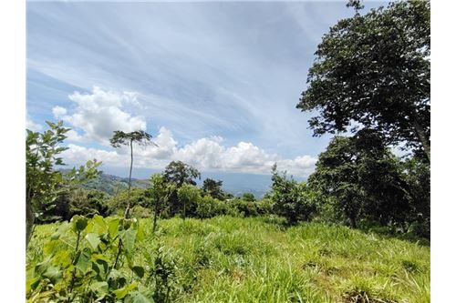 For Sale-Land-Pérez Zeledón, San Jose, Costa Rica-901601008-15