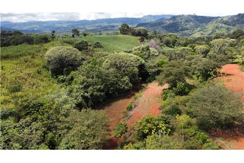 For Sale-Land-Pérez Zeledón, San Jose, Costa Rica-901601008-9