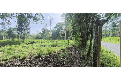 매각용-대지-Puntarenas, Puntarenas - Puntarenas, 코스타리카-902211015-2