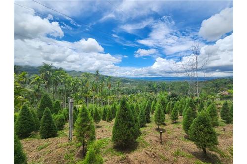 Venta-Lote-Pérez Zeledón, San José, Costa Rica-90176018-51