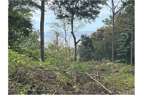 Te Koop-Grondstuk-Cobano - Santa Teresa, Puntarenas - Puntarenas, Costa Rica-90110005-92