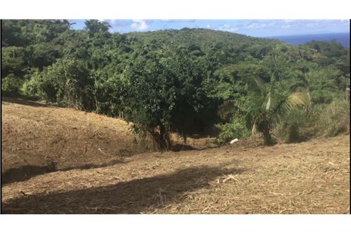 For Sale-Land-Hard Labour, St Croix, US Virgin Islands-90123011-28