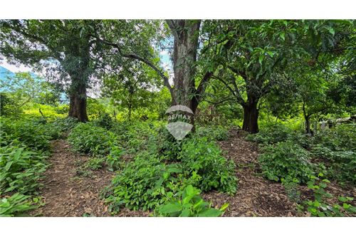 For Sale-Land-Zacatecoluca, La Paz, El Salvador-90100039-19