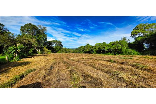 For Sale-Villa-Volcan, Chiriquí, Panama-902371001-88
