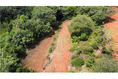 For Sale-Land-Pérez Zeledón, San Jose, Costa Rica-901601008-8