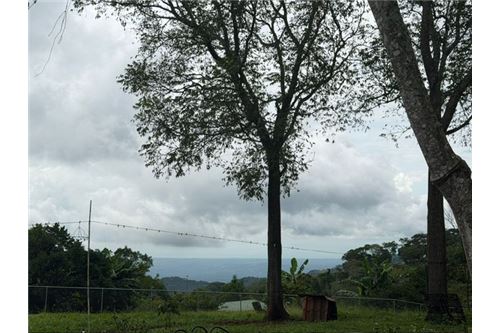 Comercial - Terreno - Atenas, Alajuela- Atenas, Costa Rica - Caribbean & Central Ameri - 8 - 90128002-994