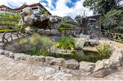 Residencial - Villa - Naranjo, Puntarenas, Costa Rica - Caribbean & Central Ameri - 14 - 90128002-990