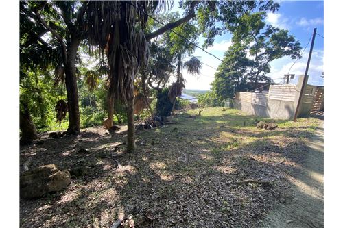 Te Koop-Grondstuk-Utila, Bay Islands, Honduras-90182002-504