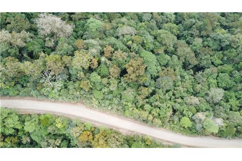 For Sale-Land-Pérez Zeledón, San Jose, Costa Rica-90176018-60