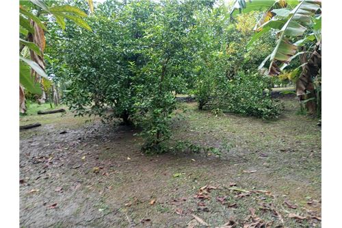 For Sale-Land-Pavones, Guanacaste, Costa Rica-902211014-14