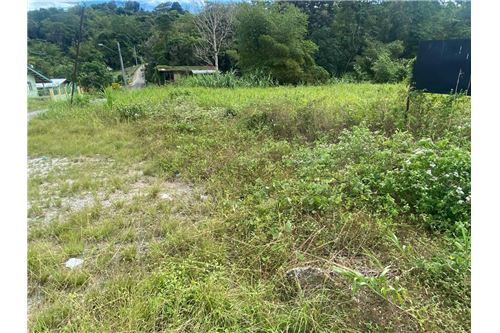 Te Koop-Grondstuk-Tabaquite, Caroni, Trinidad and Tobago-90155109-155