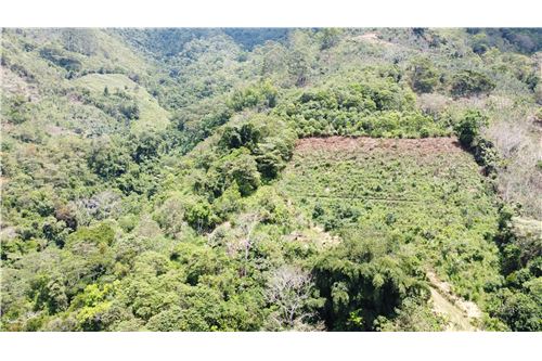 For Sale-Land-Pérez Zeledón, San Jose, Costa Rica-90176018-23
