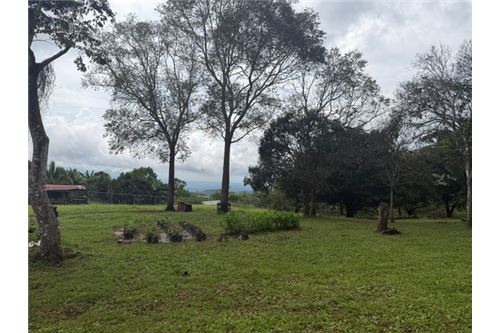 Comercial - Terreno - Atenas, Alajuela- Atenas, Costa Rica - Caribbean & Central Ameri - 13 - 90128002-994