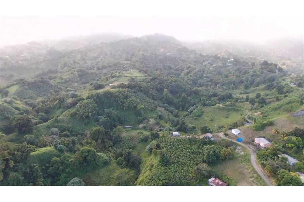 Commercial Land Park Hill, St Vincent, St Vincent and the