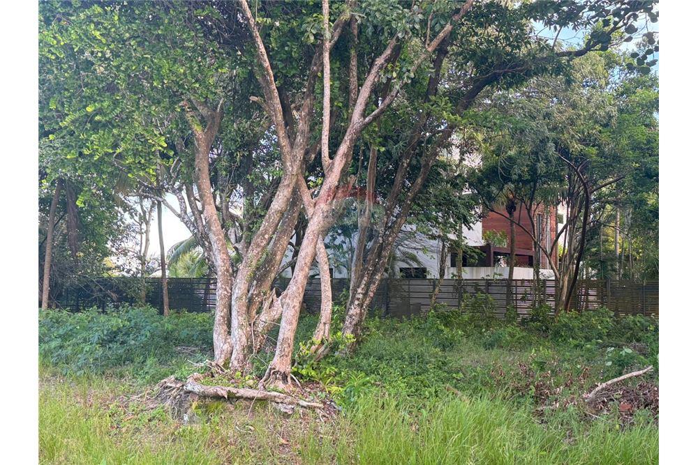 Comercial - Terreno - Placencia, Stann Creek District, Belice - Caribbean & Central Ameri - 6 - 90127003-302