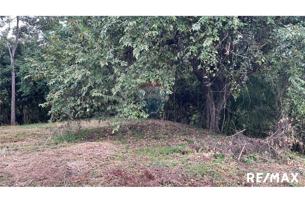 Commercio - Terreno - Puntarenas, Puntarenas - Puntarenas, Costa Rica - Caribbean & Central Ameri - 18 - 90168045-6