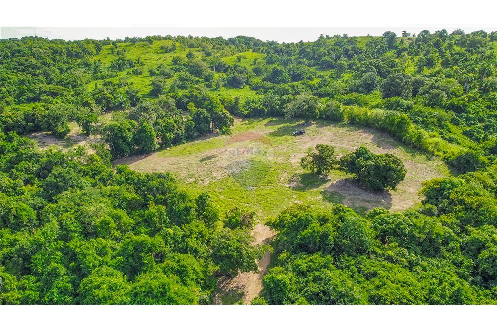 Commercial - Land - Rio Grande, Rio Grande, Puerto Rico - Caribbean & Central Ameri - 4 - 902461007-23