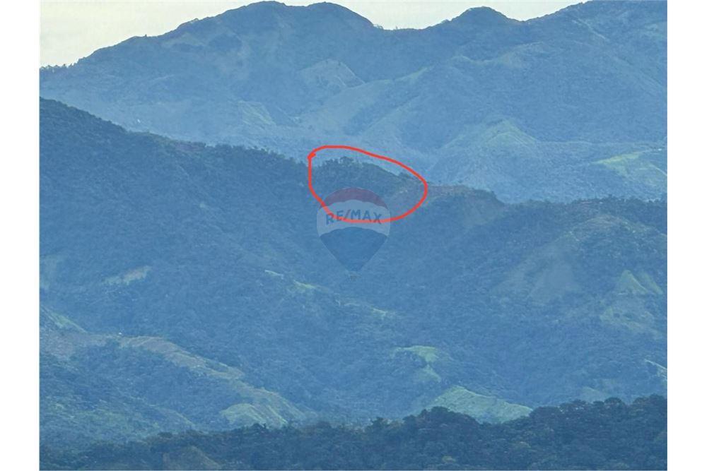 Commercial - Land - León XIII, San José - Tibás, Costa Rica - Caribbean & Central Ameri - 4 - 90168016-213