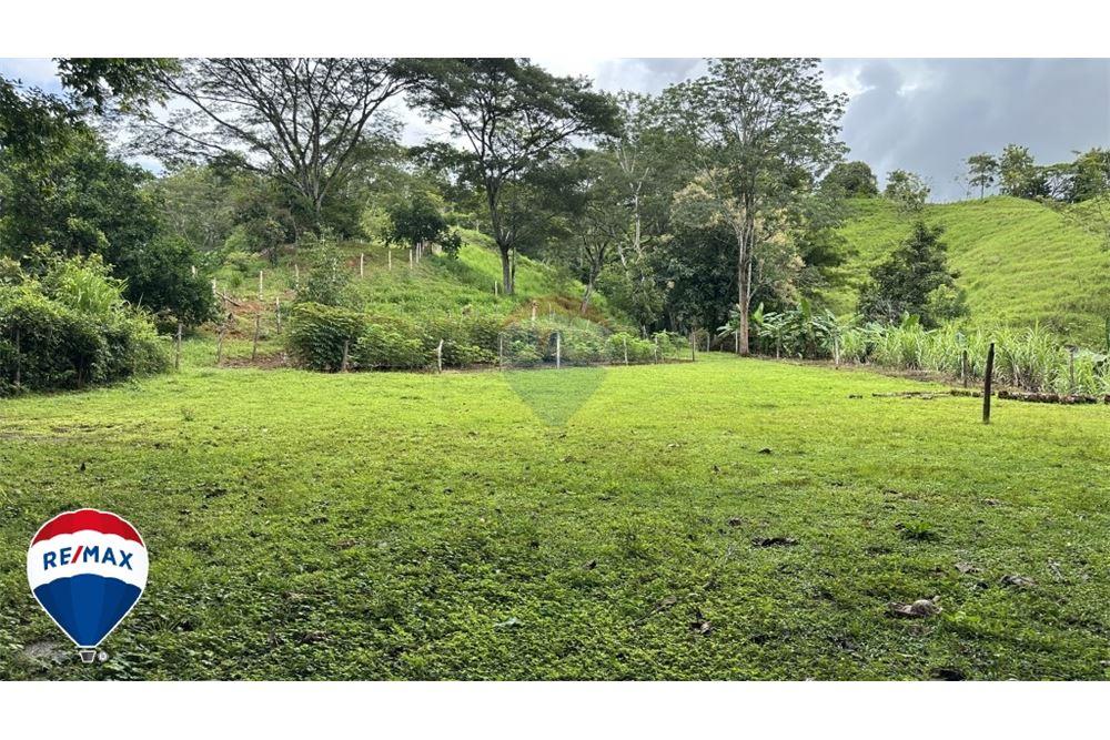 Commercio - Terreno - San José, San José, Costa Rica - Caribbean & Central Ameri - 12 - 90168030-67