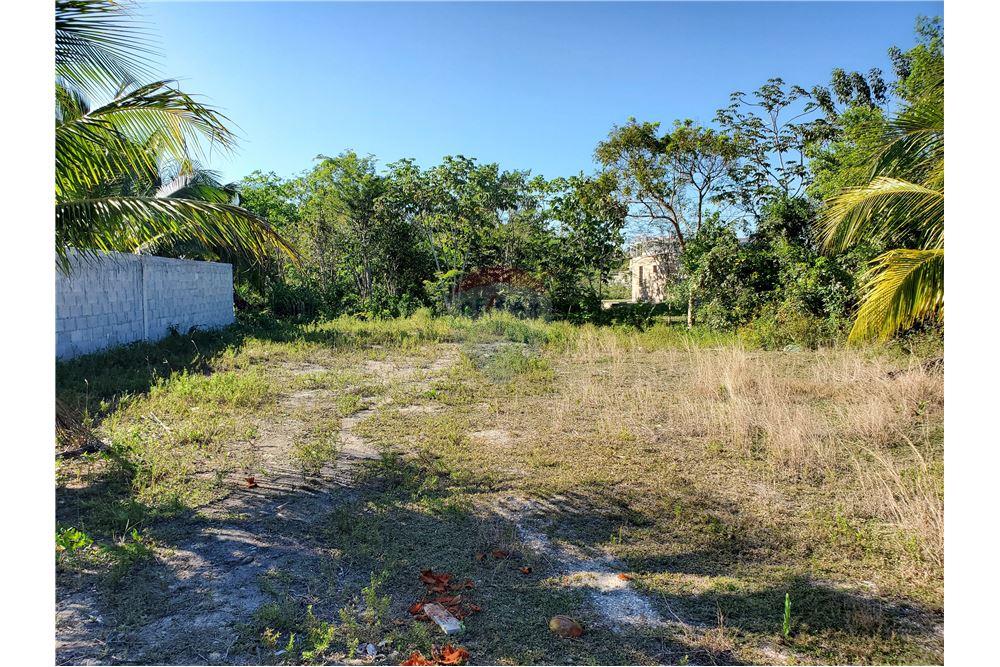 商业 - 土地 - Corozal Town, Corozal District, 伯利兹 - Caribbean & Central Ameri - 6 - 901411007-91