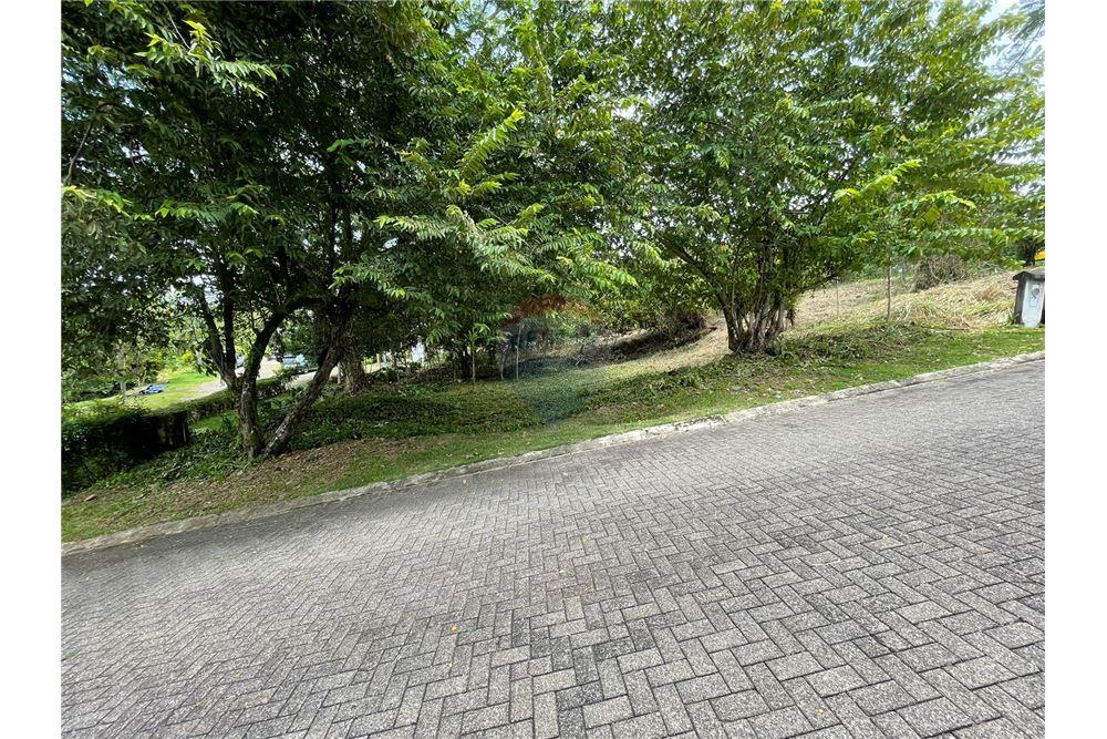 商业 - 土地 - Parrita - Esterillos, Puntarenas - Parrita, 哥斯达黎加 - Caribbean & Central Ameri - 2 - 90168024-63