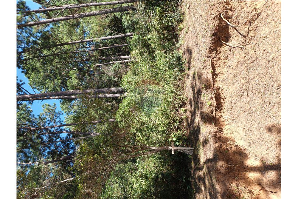 Land - For Sale - San Raimundo, Guatemala, Guatemala - 3 - 902691016-8