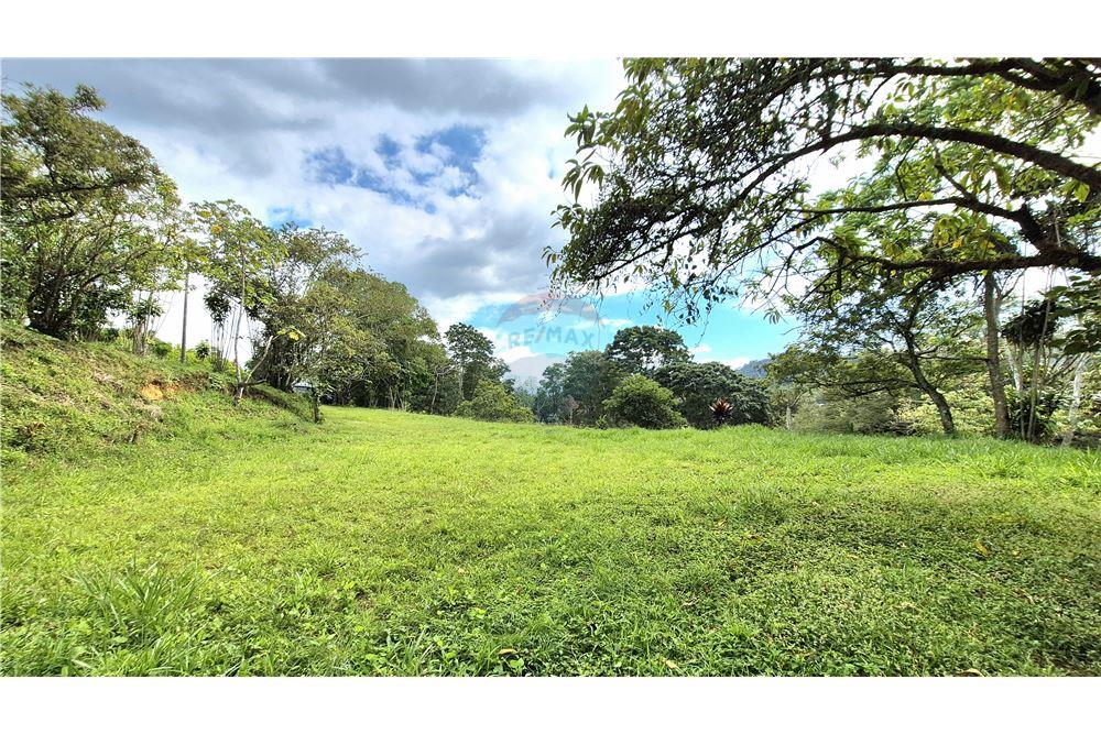 Comercial - Terreno - Atenas, Alajuela- Atenas, Costa Rica - Caribbean & Central Ameri - 1 - 90128007-195