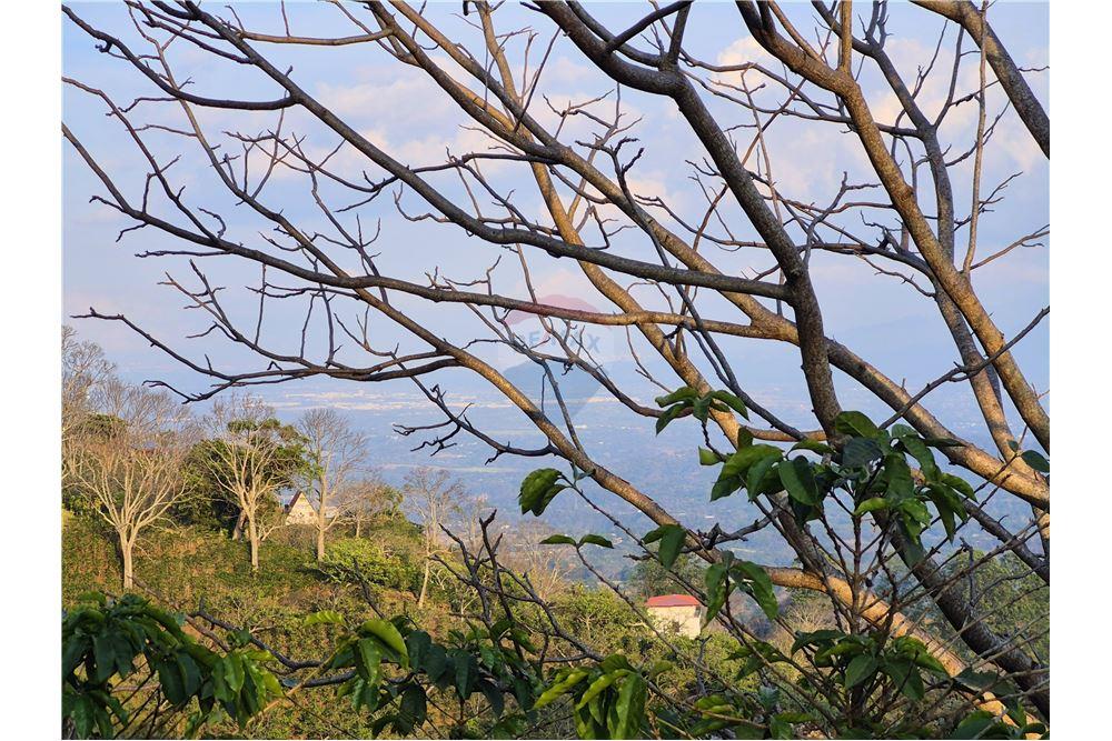 Commercial - Land - Atenas, Alajuela- Atenas, Costa Rica - Caribbean & Central Ameri - 3 - 90128007-166