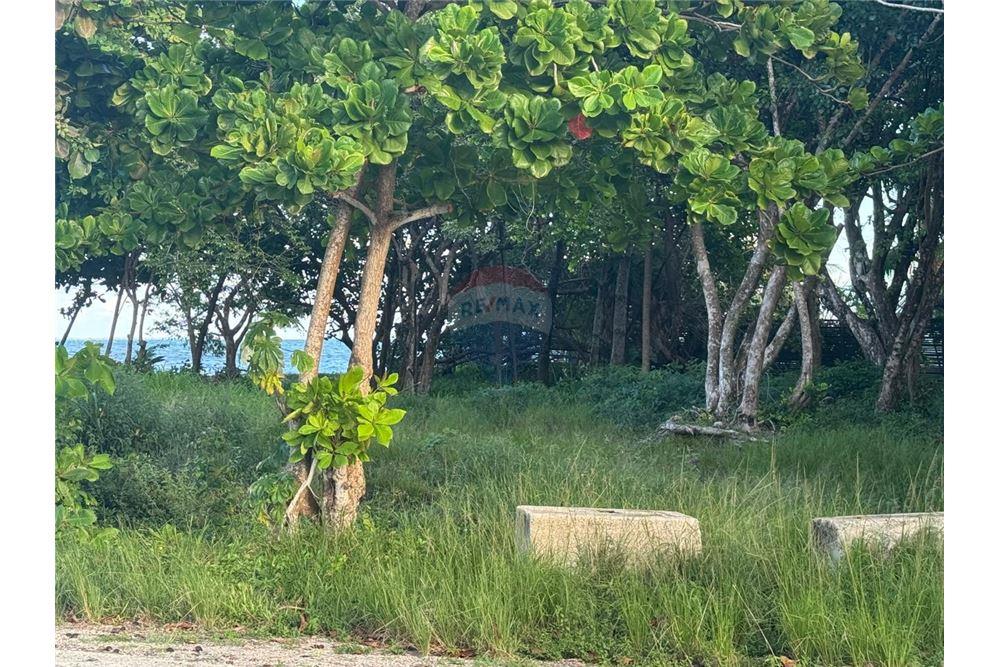 Comercial - Terreno - Placencia, Stann Creek District, Belice - Caribbean & Central Ameri - 9 - 90127003-302