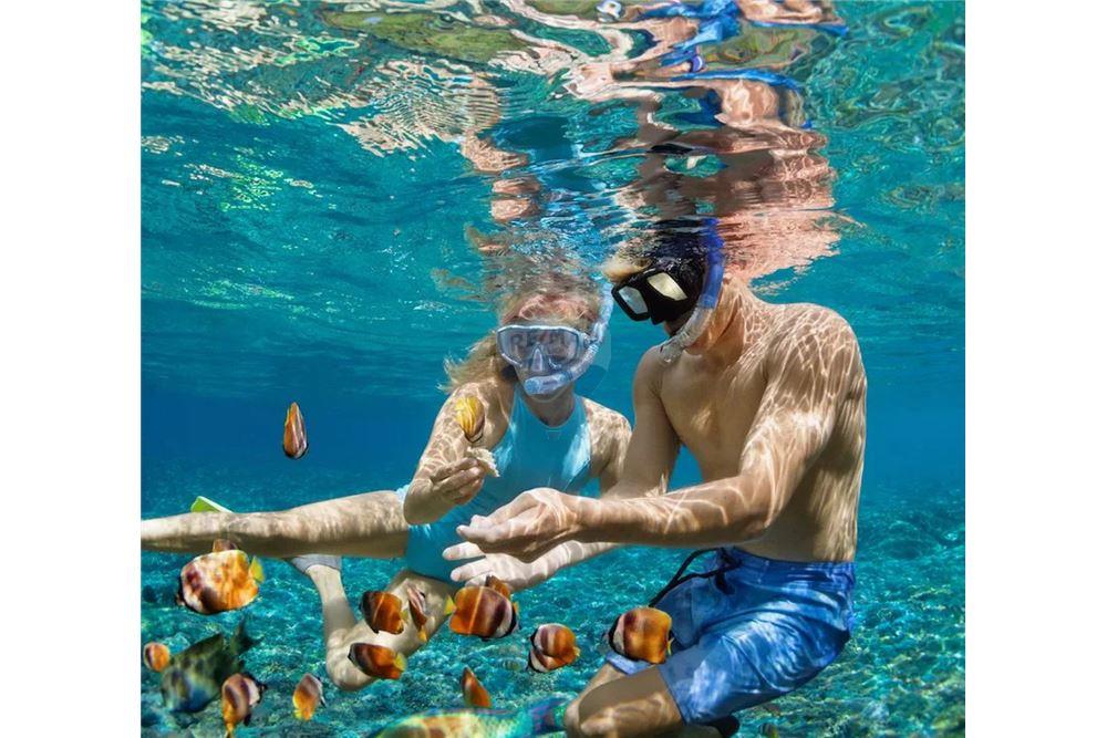 Wohnung - Villa - Placencia, Stann Creek District, Belize - Caribbean & Central Ameri - 33 - 90127025-60