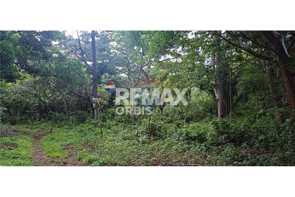 Land - For Sale - Masaya, Masaya, Nicaragua - 2 - 902681009-1
