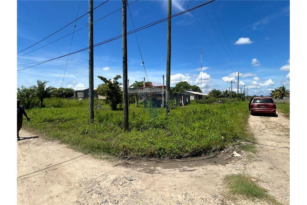 Comercial - Terrenos - Independence, Stann Creek District, Belize - Caribbean & Central Ameri - 2 - 90127041-6
