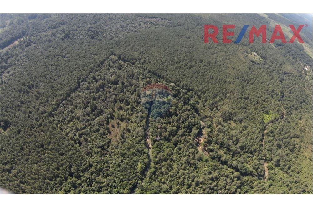 Land - For Sale - Poptún, Petén, Guatemala - 3 - 902691018-30