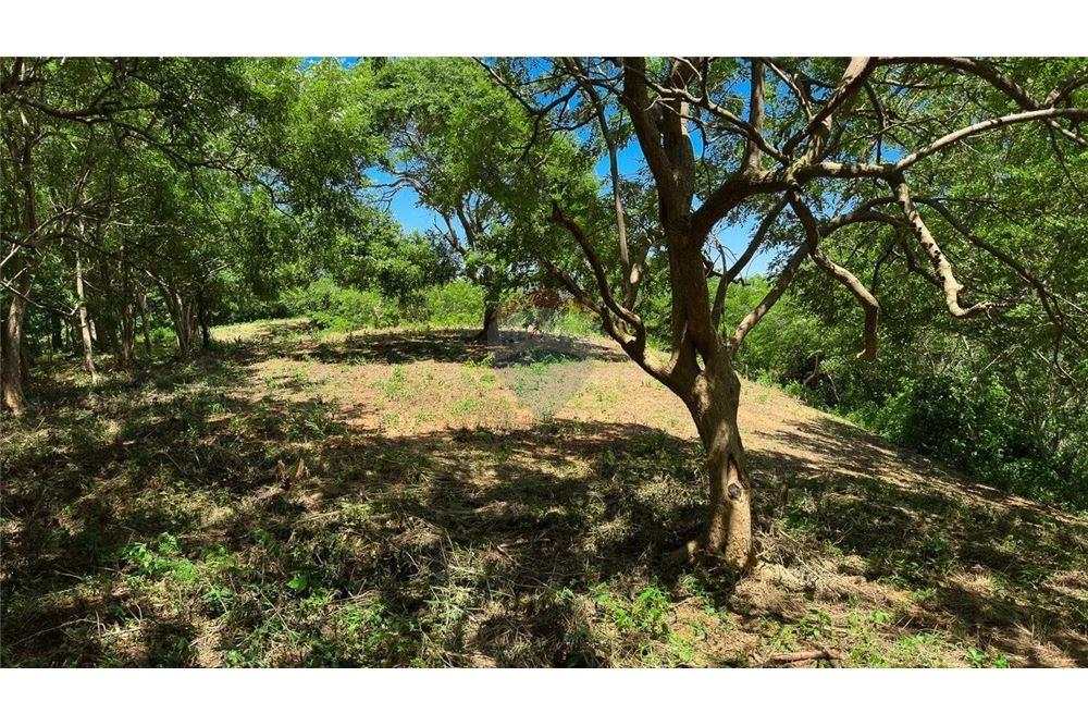 Commercial - Land - San Juan del Sur, Rivas, Nicaragua - Caribbean & Central Ameri - 7 - 90119008-99