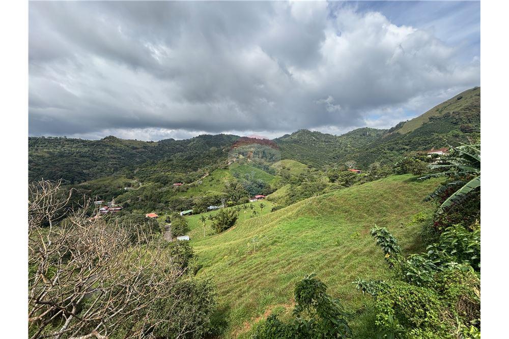 Residenziale - Villa - Atenas, Alajuela- Atenas, Costa Rica - Caribbean & Central Ameri - 5 - 90128002-997