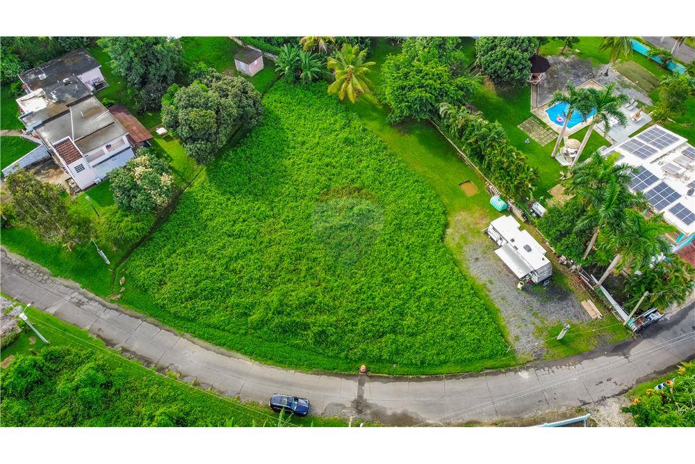 Commercial - Land - Rio Grande, Rio Grande, Puerto Rico - Caribbean & Central Ameri - 1 - 902461007-22