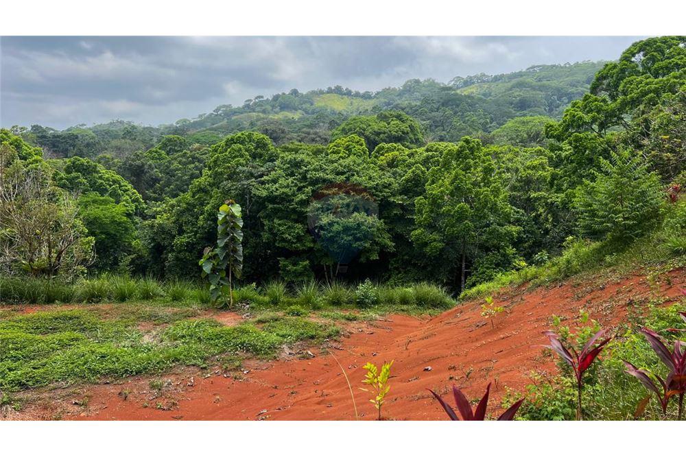 Commercial - Land - Bijagual, Puntarenas, Costa Rica - Caribbean & Central Ameri - 9 - 90168042-14
