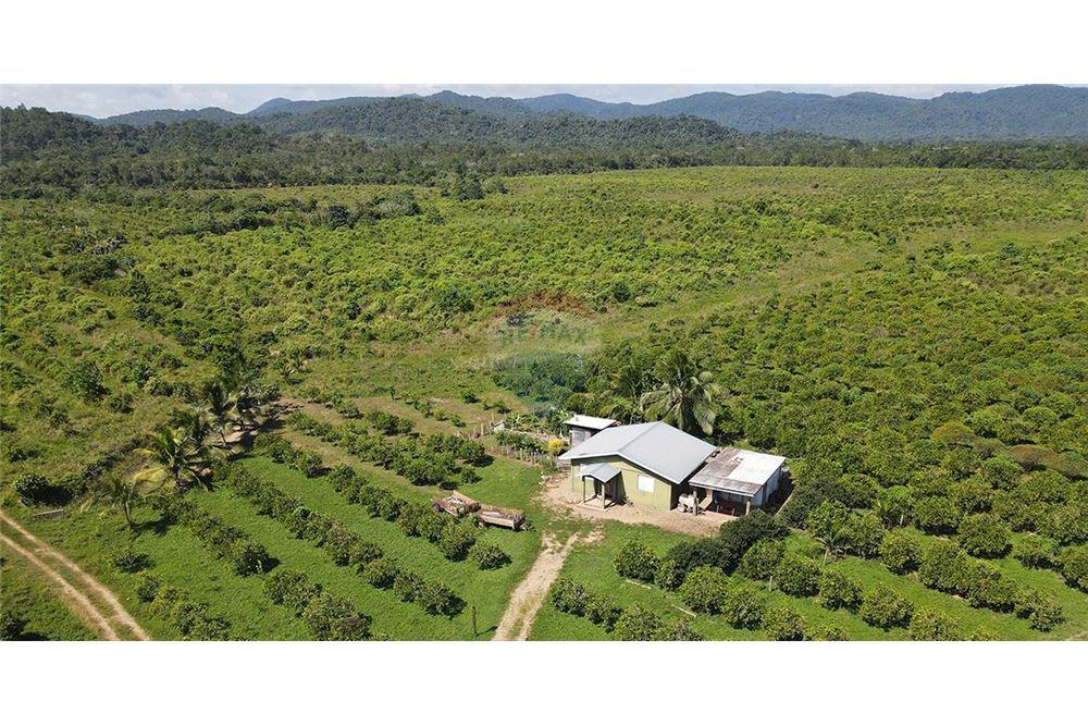 Venta de Negocio - Venta - Silk Grass, Stann Creek District, Belice - 3 - 901911013-62