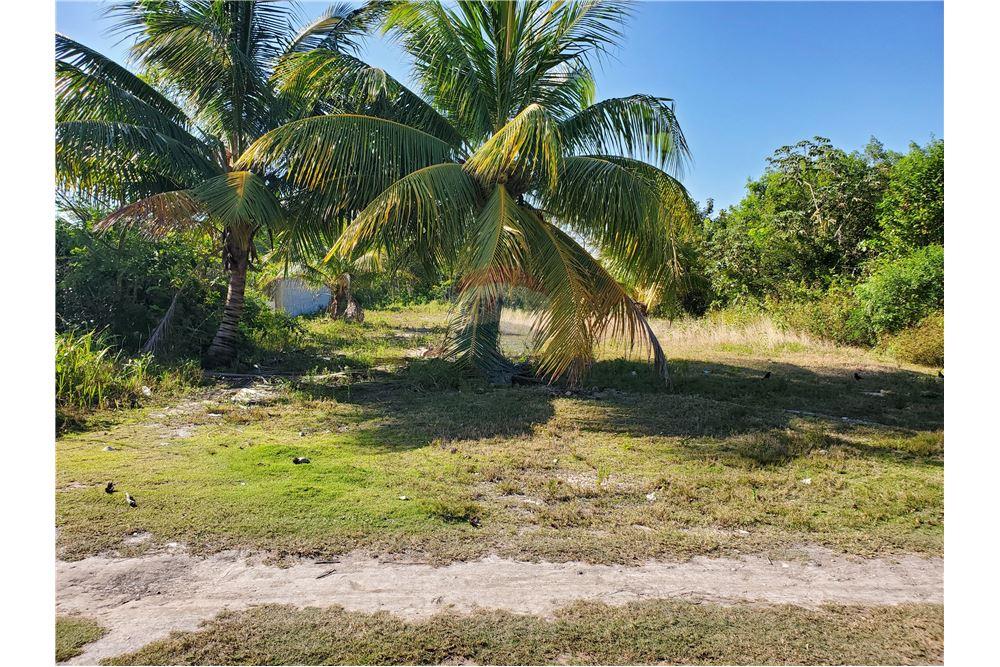 商业 - 土地 - Corozal Town, Corozal District, 伯利兹 - Caribbean & Central Ameri - 5 - 901411007-91