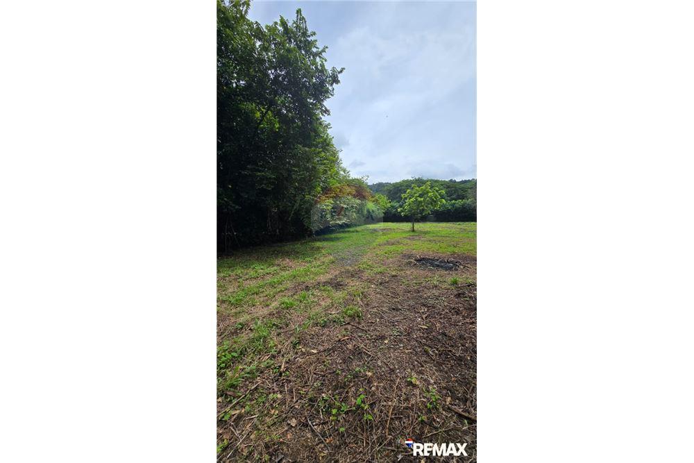 Commercial - Land - Jaco - Playa Hermosa, Puntarenas- Garabito, Costa Rica - Caribbean & Central Ameri - 10 - 90168005-700